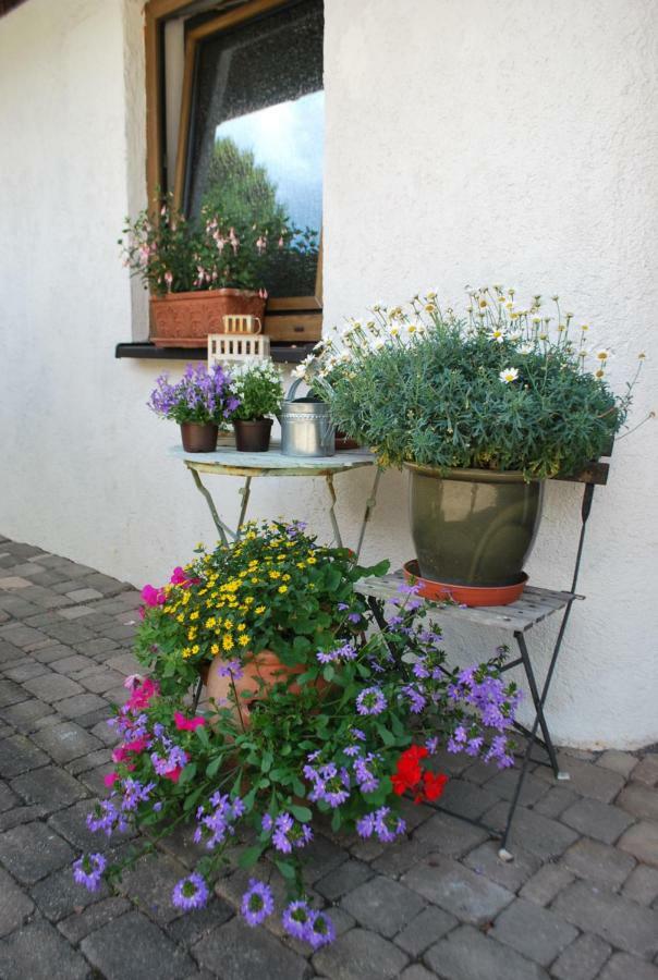 Homestay Cozy Room Markdorf Exteriér fotografie